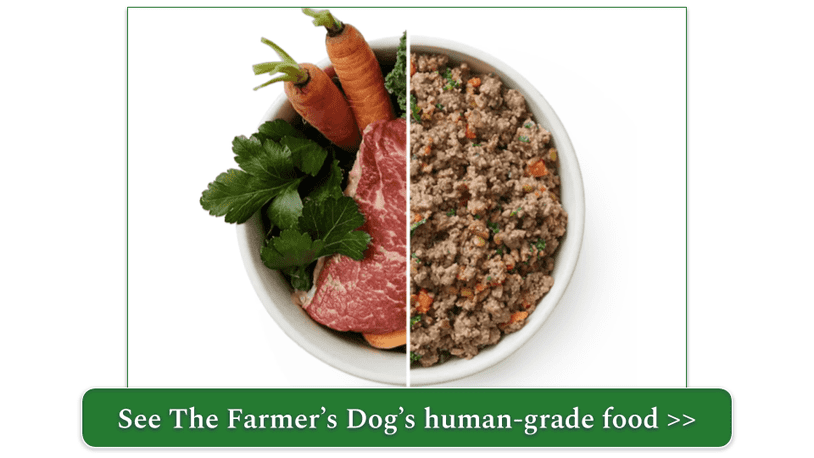 human grade dog food