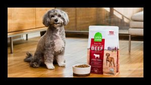 Best Dog Food Delivery